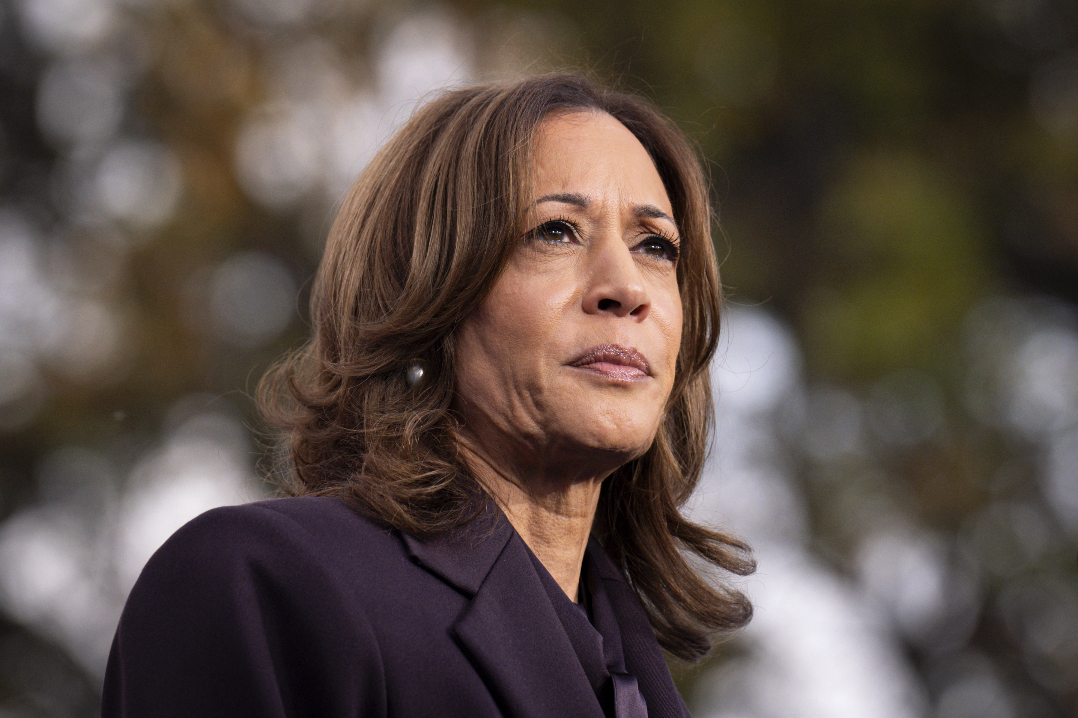 Kamala Harris: President Revokes Extended Secret Service Detail