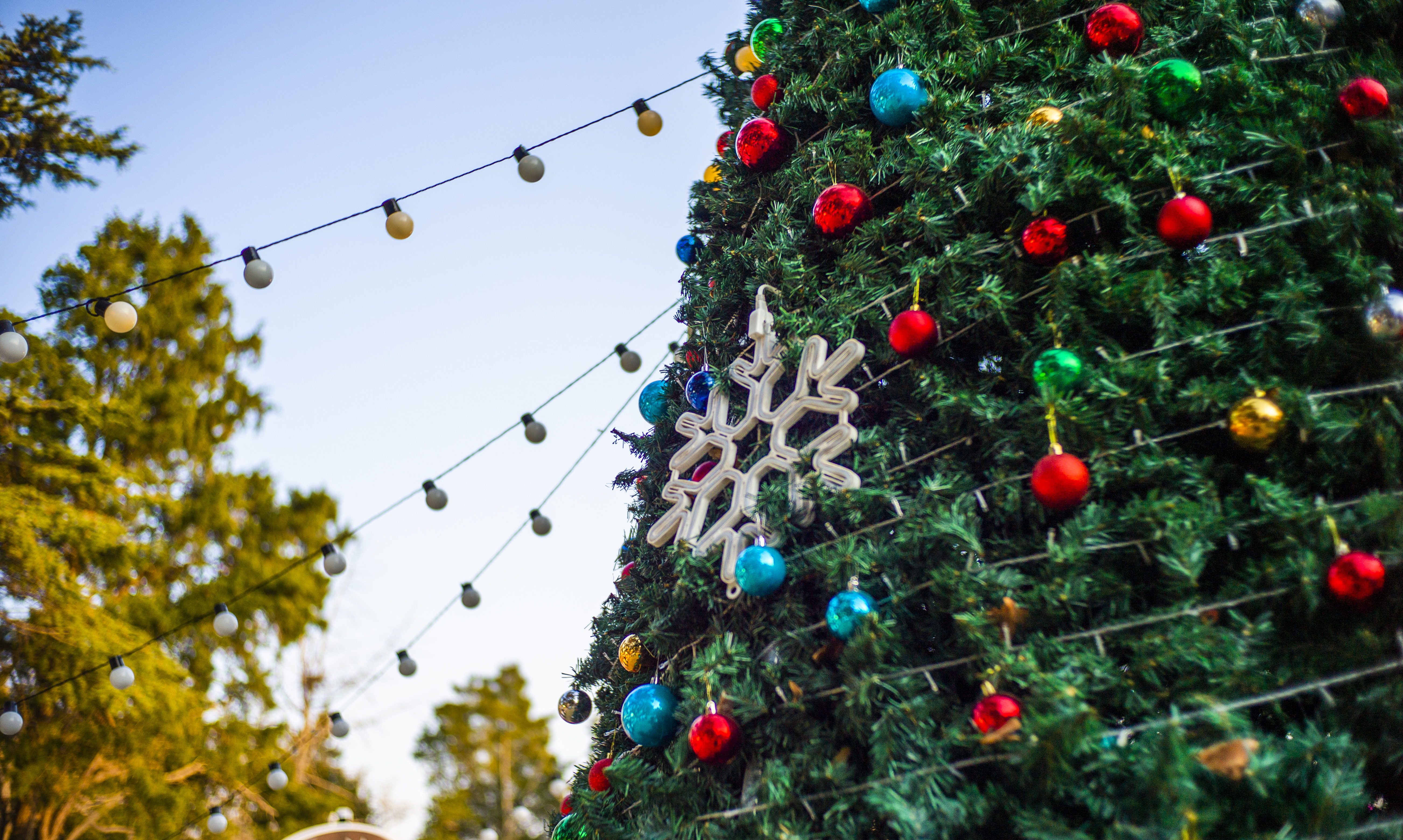 Teen Killed & Several Others Wounded After Chicago's Christmas Tree Lighting Celebration