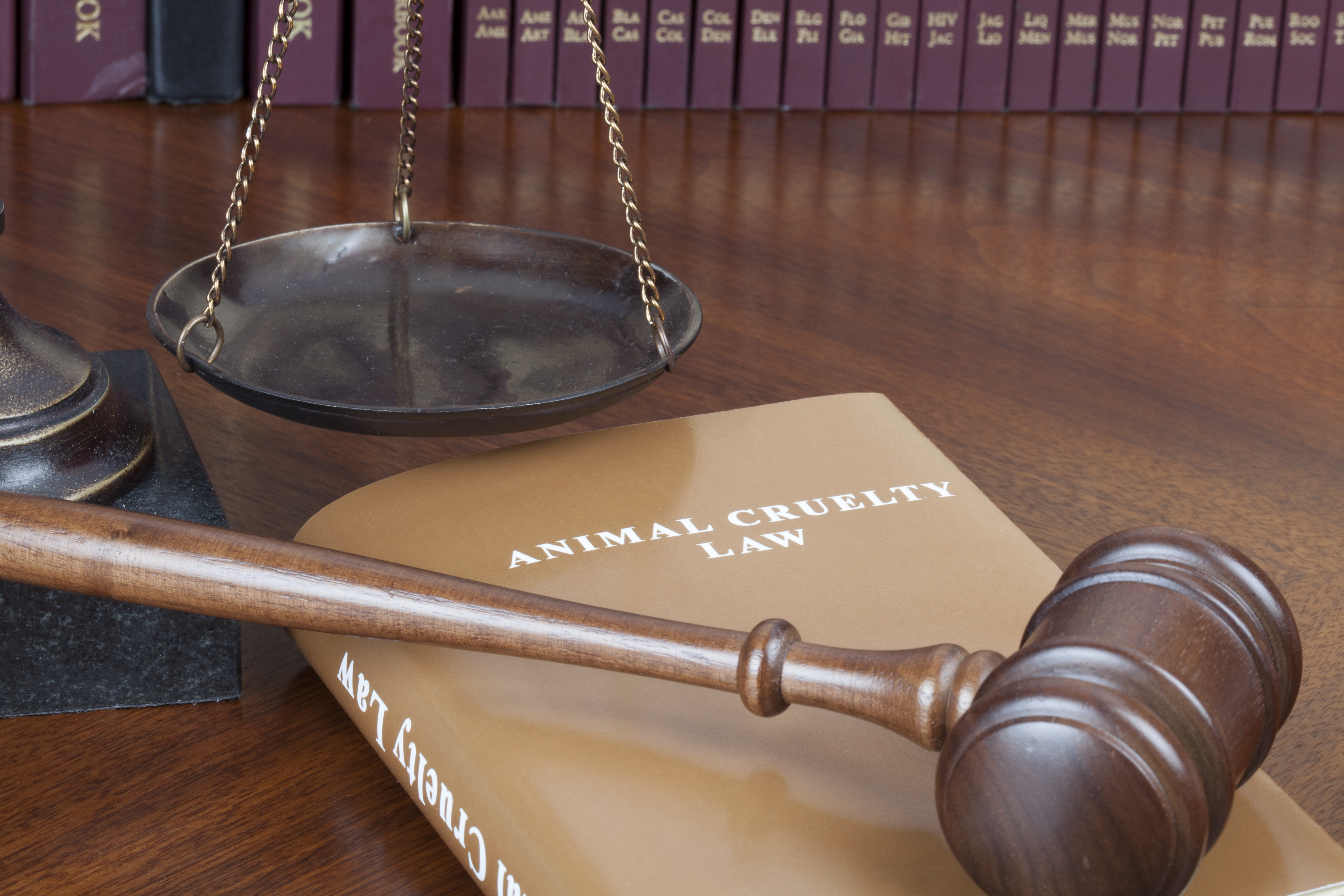 Aspen Kartier’s Mugshot Released After She Was Arrested And Later Released On Animal Cruelty Charges (PHOTOS)